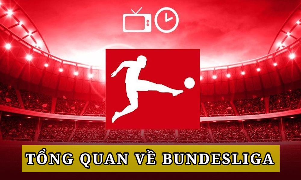 Kèo bóng đá Đức hôm nay - Tỷ lệ kèo Bundesliga 2023 tối nay